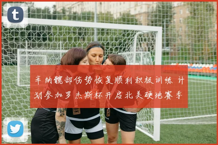 辛纳髋部伤势恢复顺利积极训练 计划参加罗杰斯杯开启北美硬地赛季